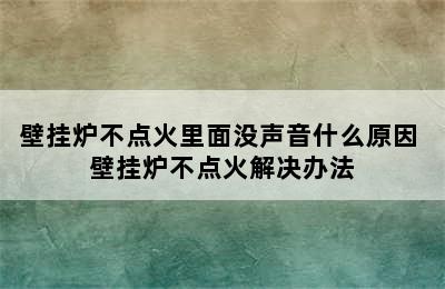 壁挂炉不点火里面没声音什么原因 壁挂炉不点火解决办法